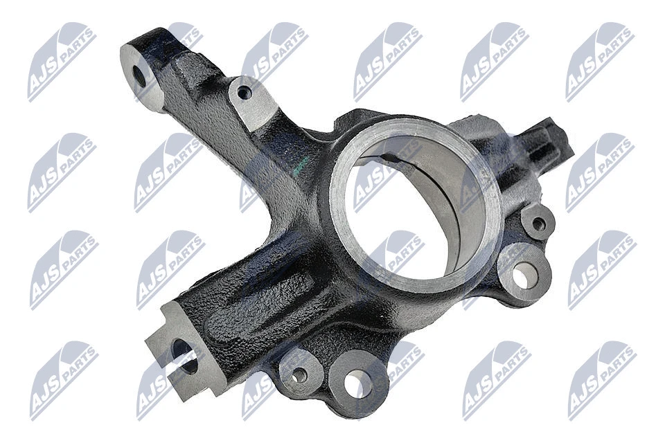Steering Knuckle, wheel suspension (ZZP-PL-009)