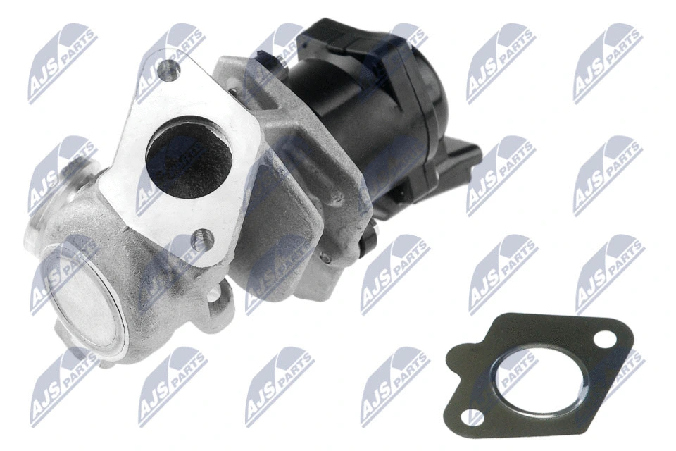 EGR Valve (EGR-PE-002)