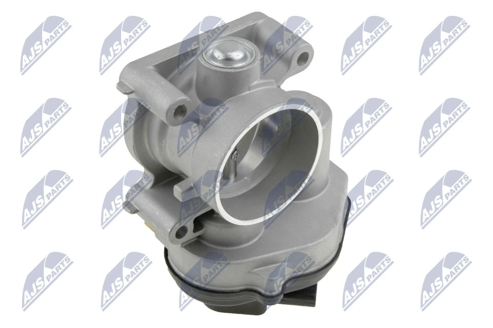 Throttle Body (ETB-FR-002)