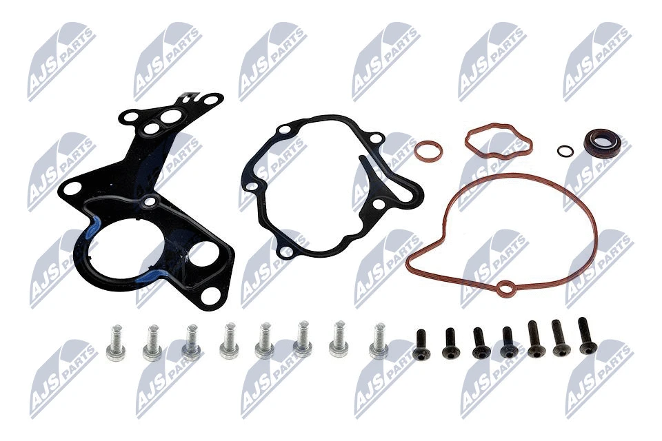 Repair Set, vacuum pump (braking system) (PVP-VW-000A)