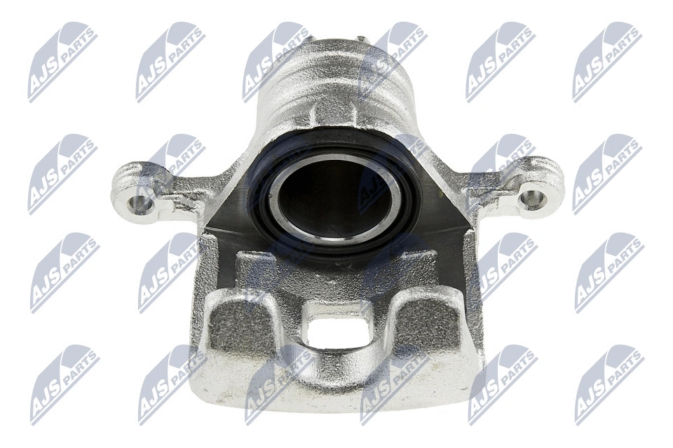 Brake Caliper (HZT-NS-010)