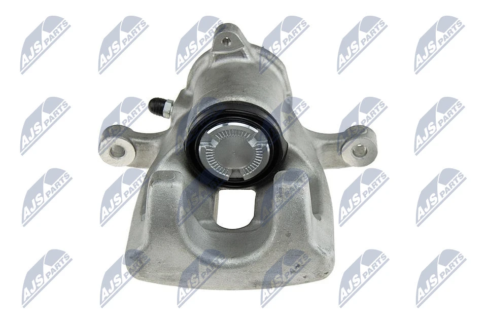 Brake Caliper (HZT-RE-023)