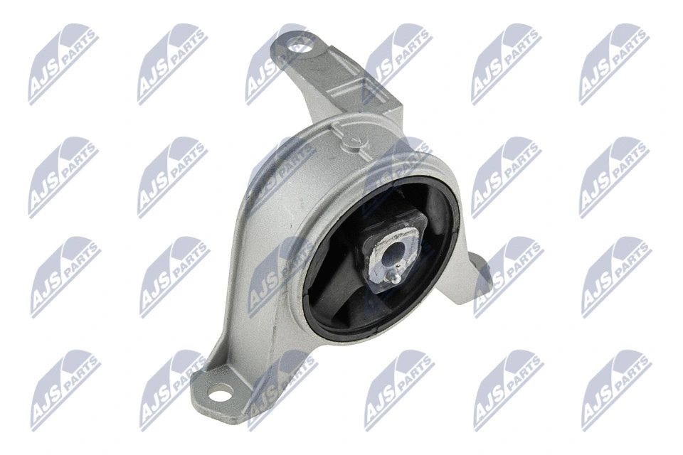 Mounting, engine (ZPS-PL-001)
