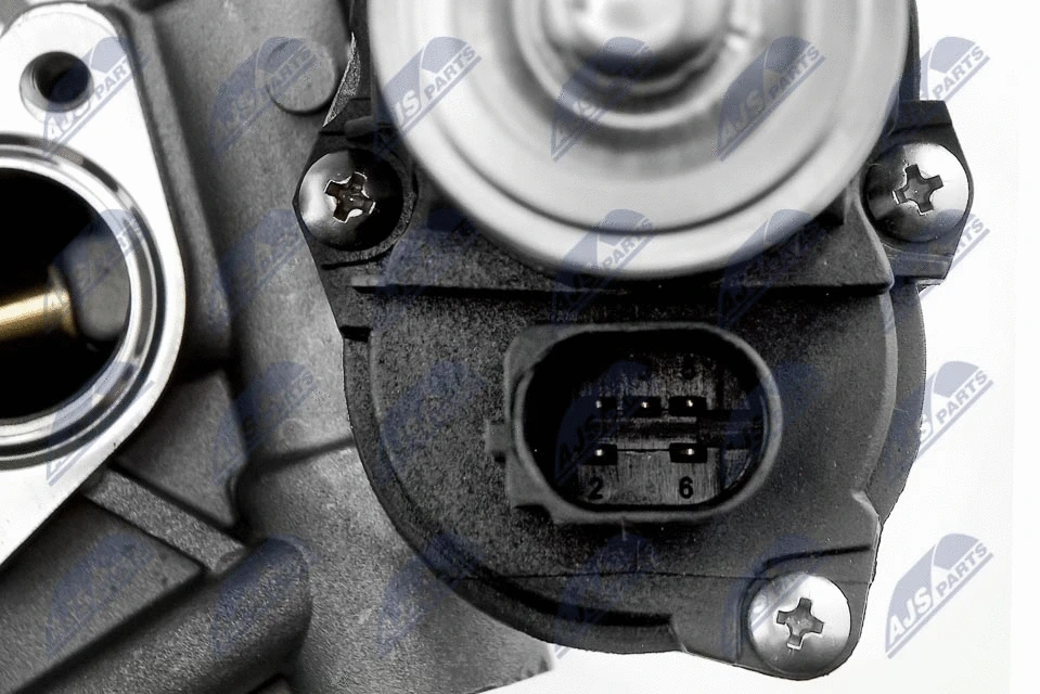 EGR Valve