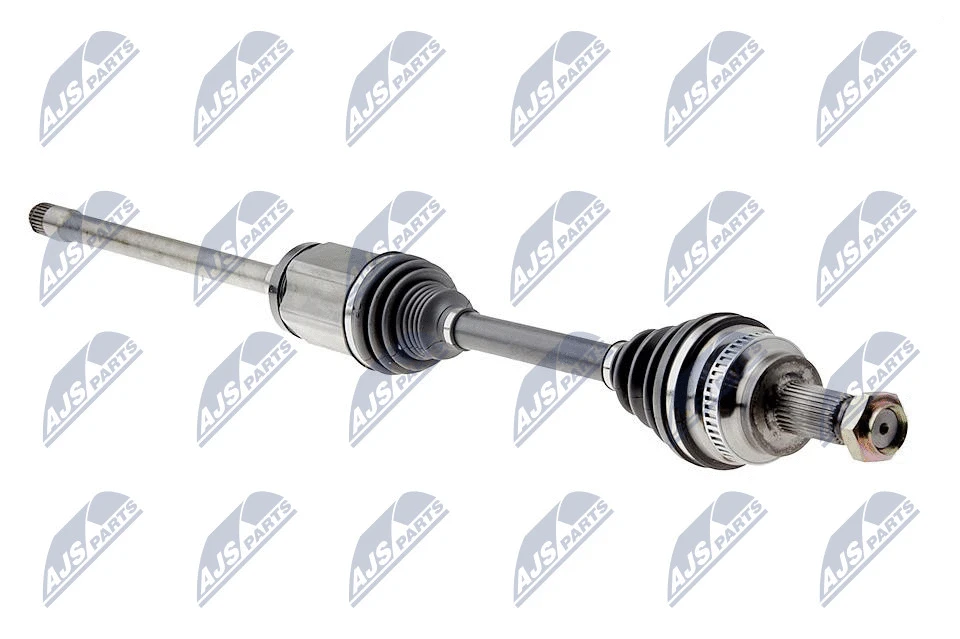 Drive Shaft (NPW-BM-079)