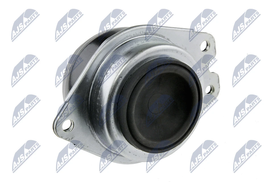 Mounting, engine (ZPS-RE-060)