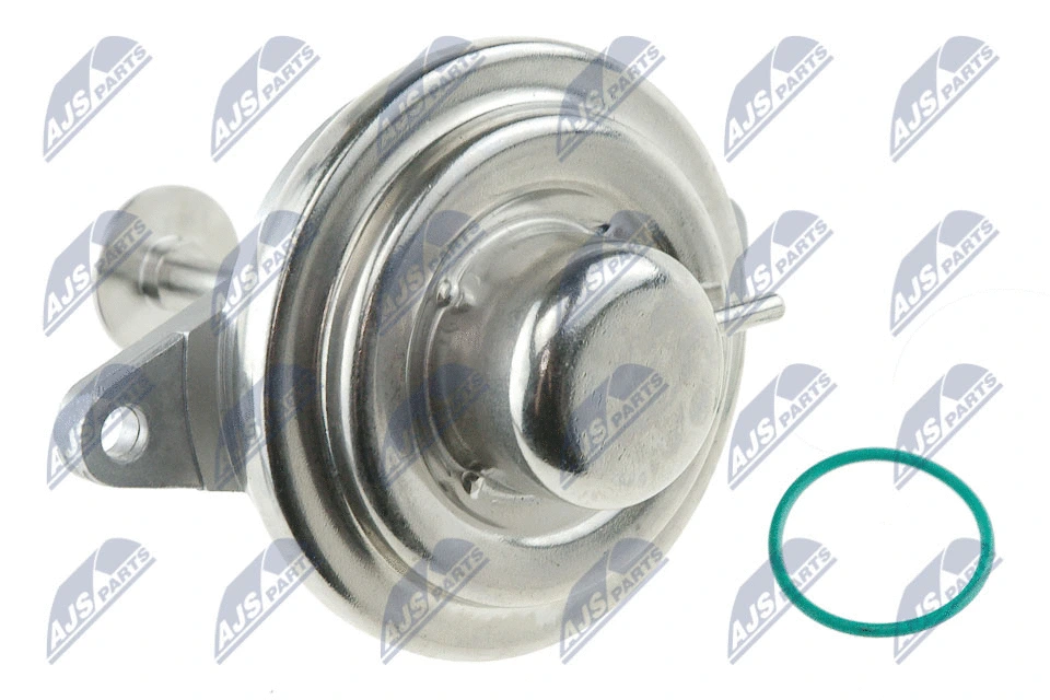 EGR Valve (EGR-PL-002)