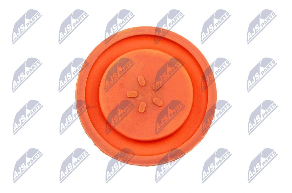 Cylinder Head Cover (BPZ-PL-006)