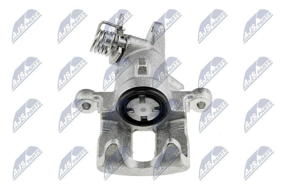 Brake Caliper (HZT-NS-001)