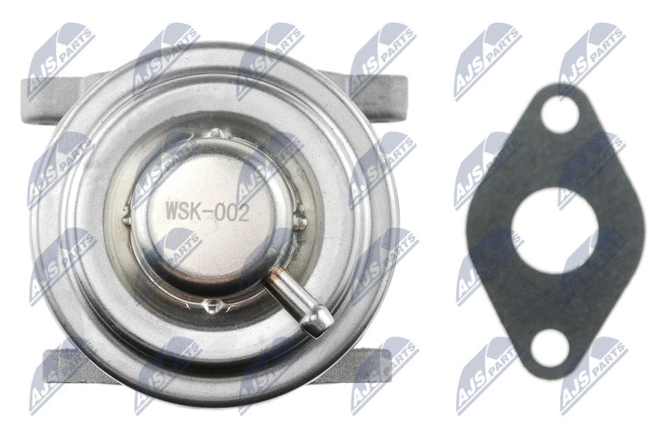 EGR Valve