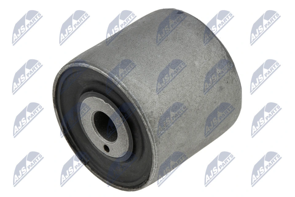 Mounting, control/trailing arm