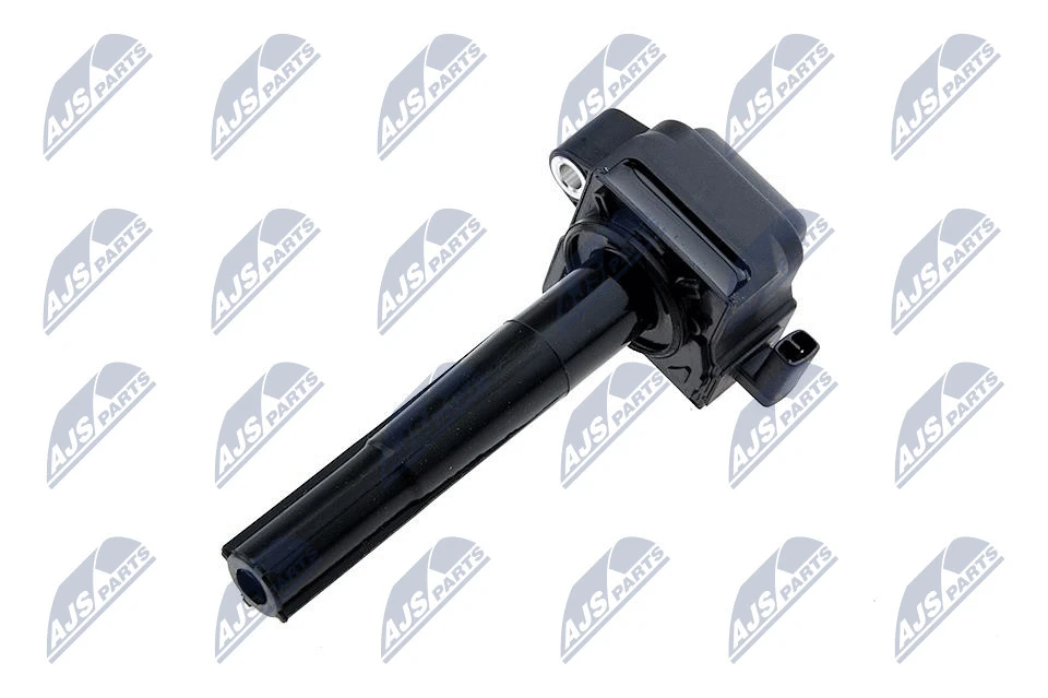 Ignition Coil (ECZ-TY-019)