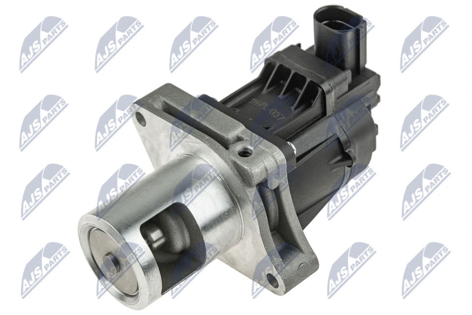 EGR Valve (EGR-PL-037)