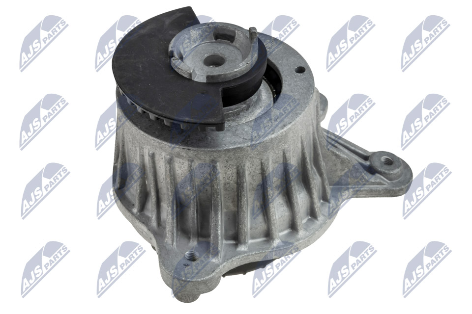 Mounting, engine (ZPS-ME-019)