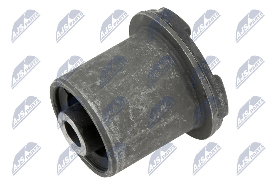 Mounting, control/trailing arm (ZTP-PL-002C)