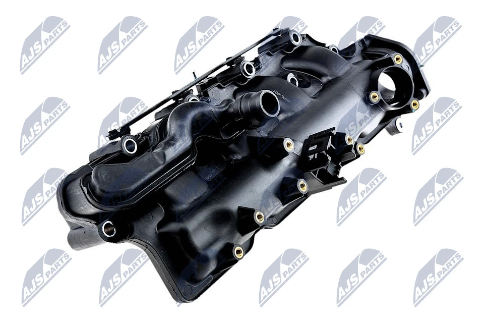 Intake Manifold Module