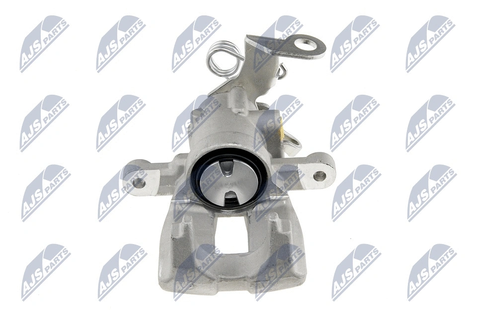 Brake Caliper (HZT-FT-006)