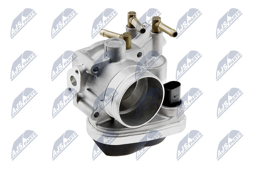 Throttle Body (ETB-VW-006)