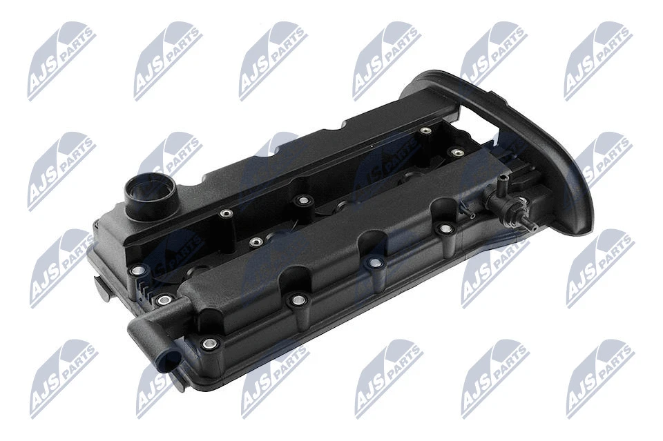 Cylinder Head Cover (BPZ-DW-000)