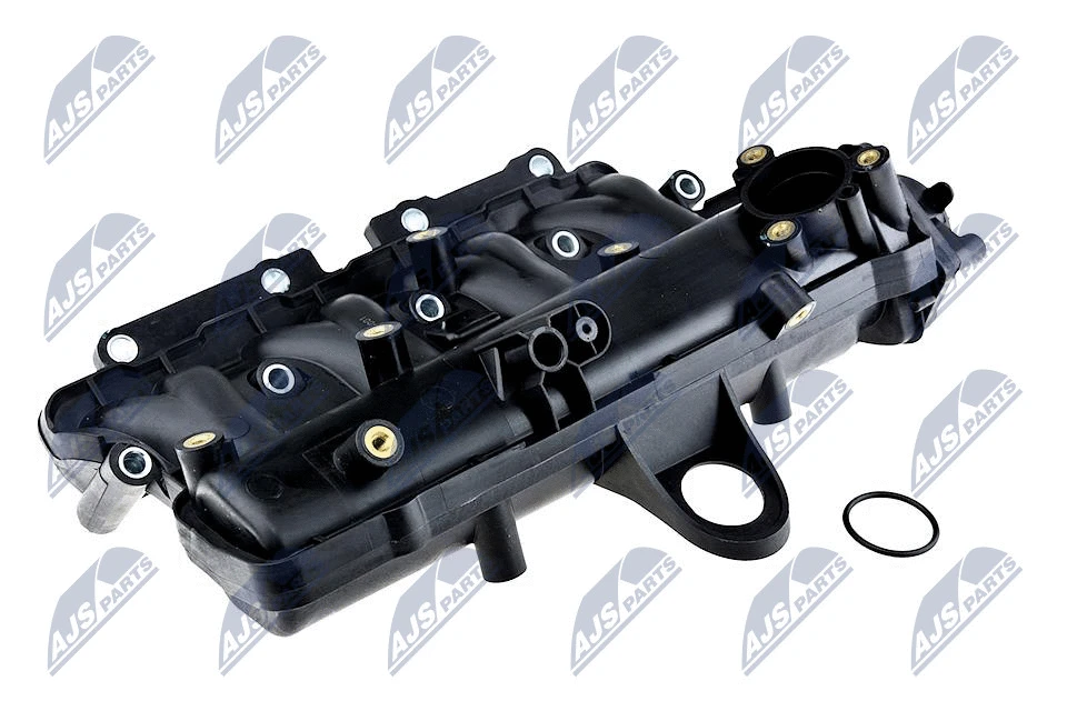Intake Manifold Module