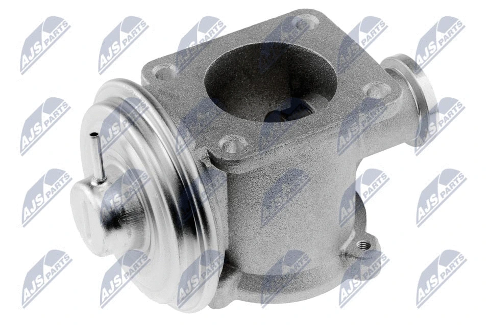 EGR Valve (EGR-BM-003)