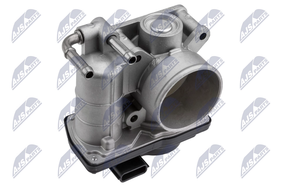 Throttle Body (ETB-NS-001)