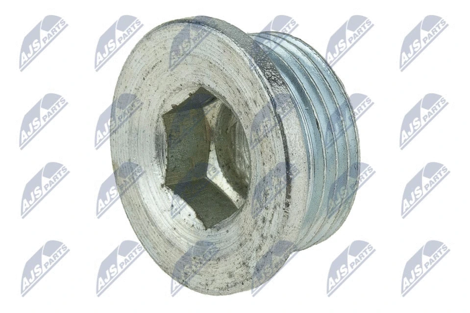 Screw Plug, oil sump (BKM-CT-001)