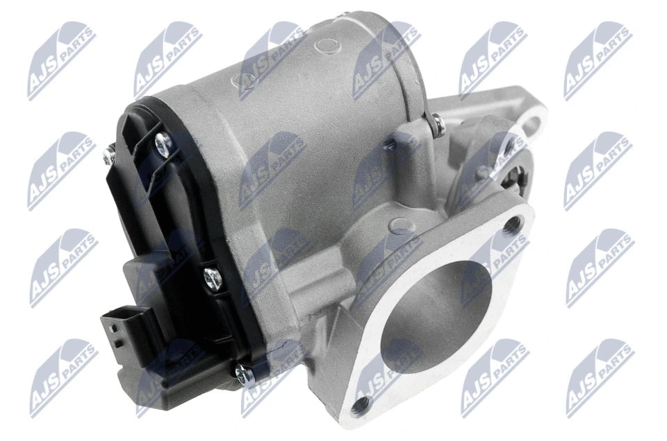 Throttle Body (EGR-RE-001)