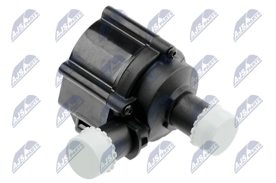 Auxiliary Water Pump (cooling water circuit) (CPZ-AU-020)