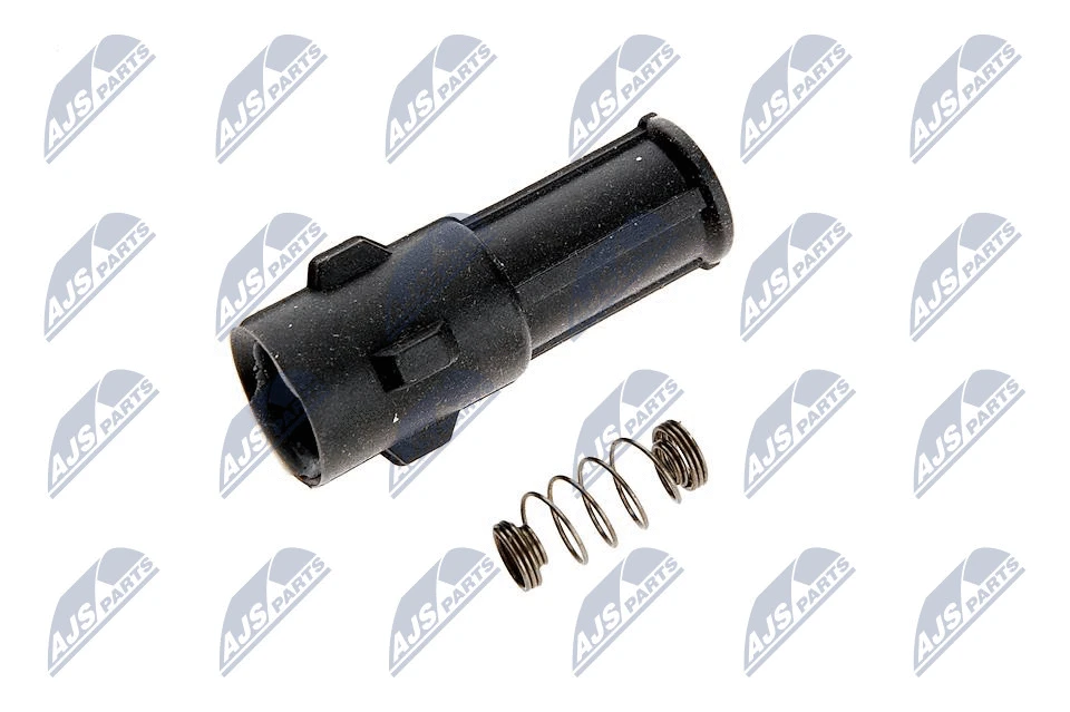 Plug, coil