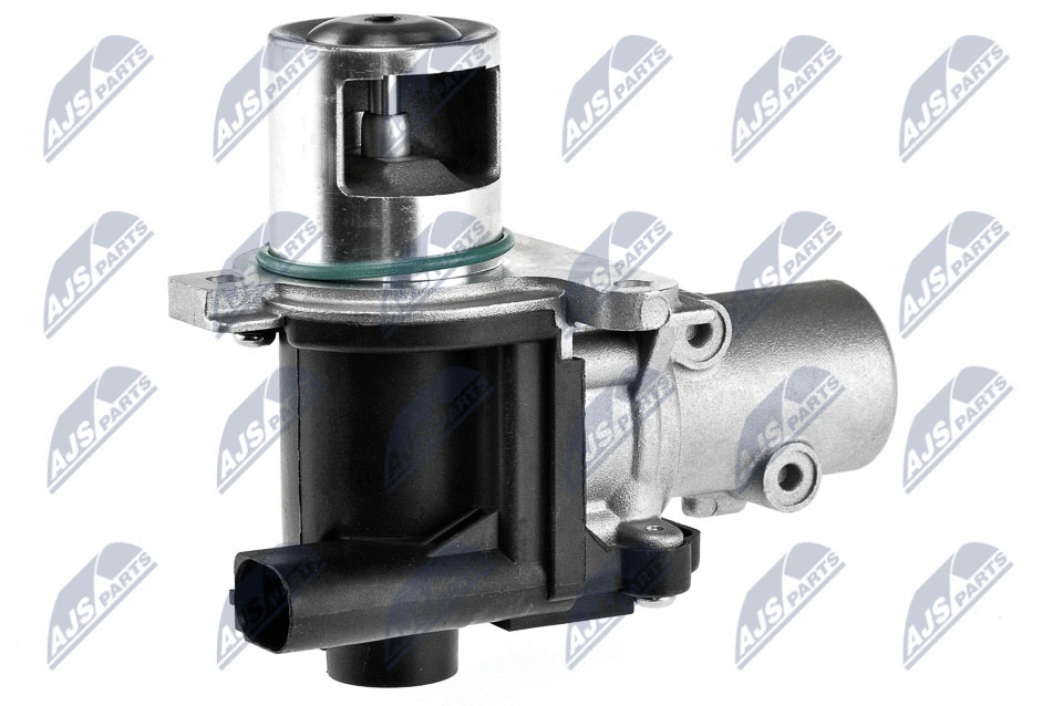 EGR Valve (EGR-NS-004)