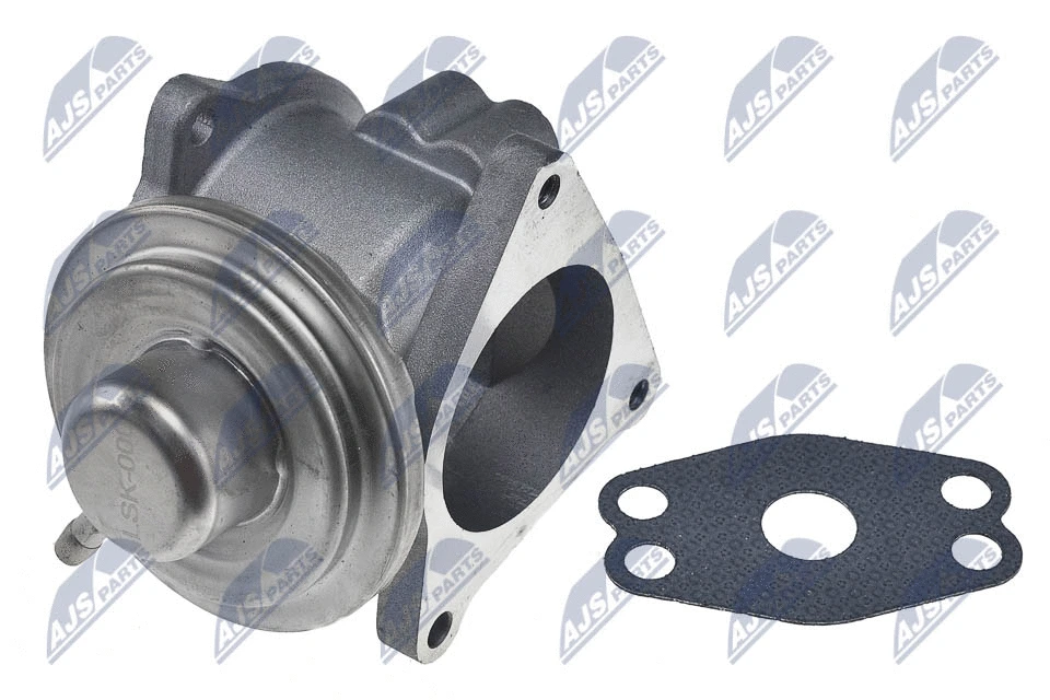 EGR Valve (EGR-CH-011)