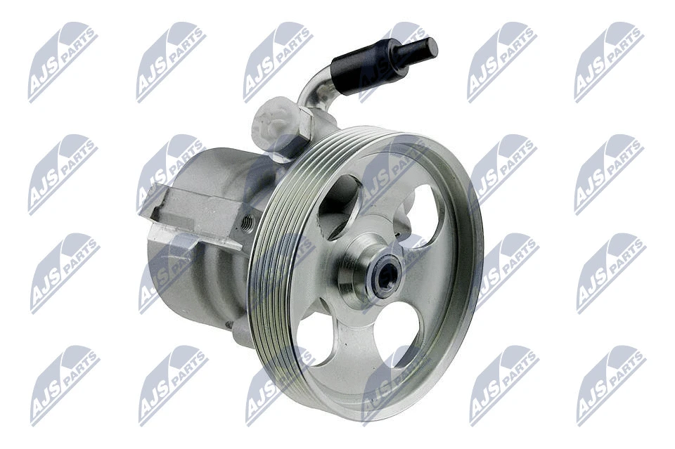 Hydraulic Pump, steering (SPW-CT-001)