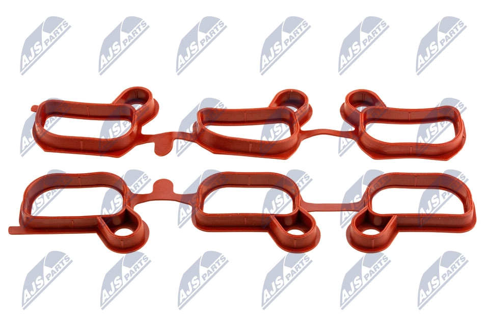 Gasket Set, intake manifold (BKS-BM-030)