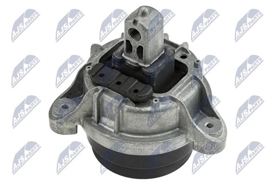 Mounting, engine (ZPS-BM-005)