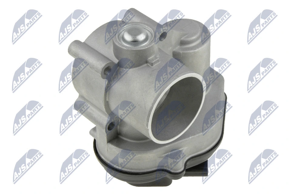 Throttle Body (ETB-FR-001)