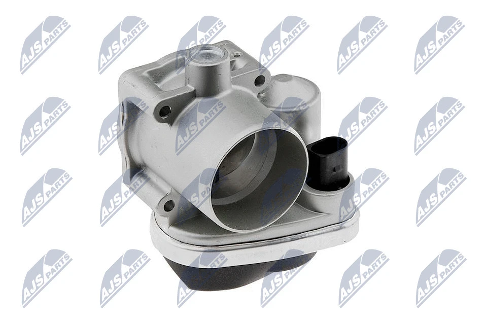Throttle Body (ETB-VW-020)