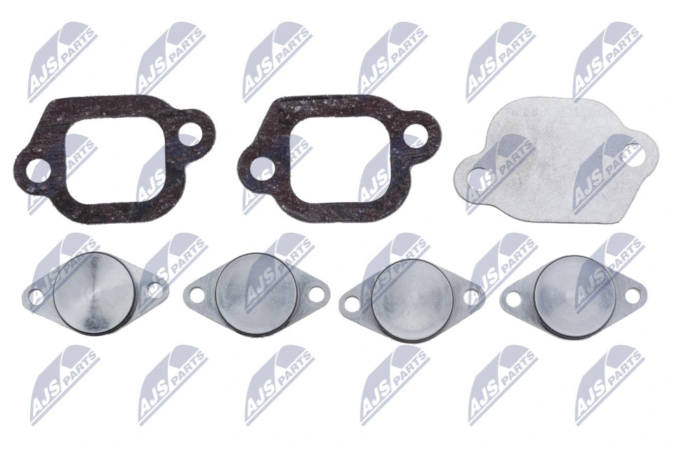 Repair Kit, intake manifold module (BKS-PL-006A)