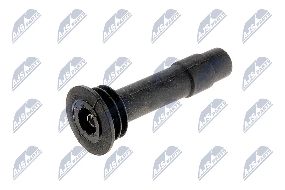 Plug, coil