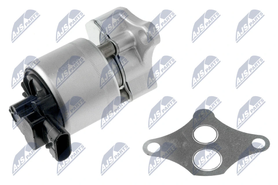 EGR Valve (EGR-PE-000)
