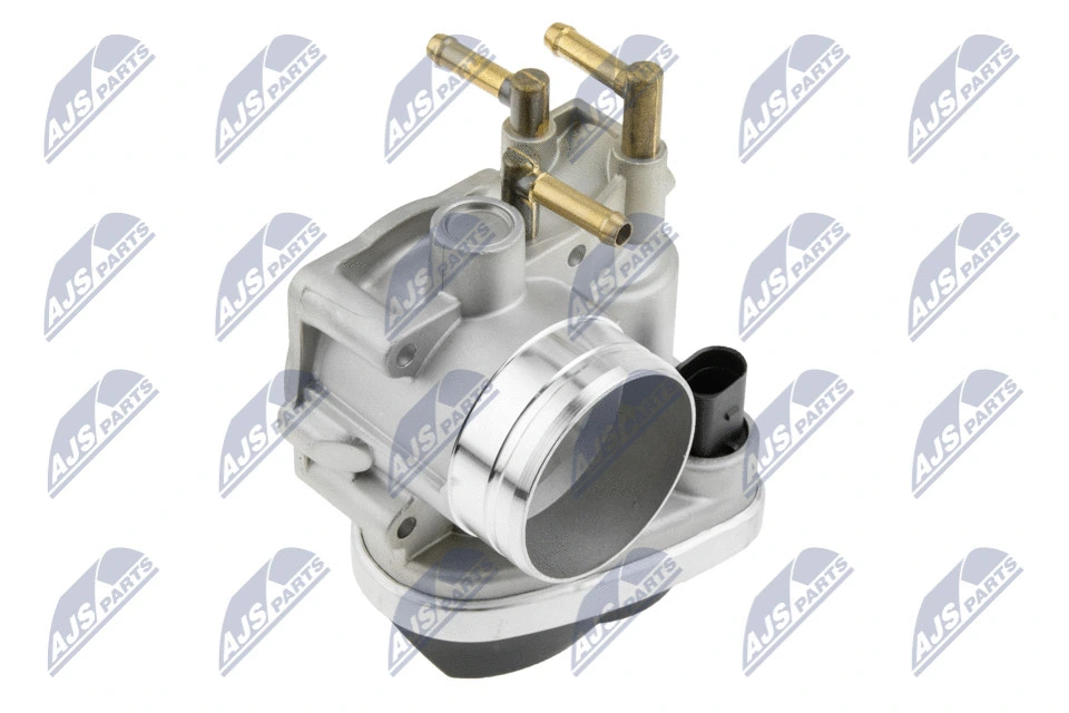 Throttle Body (ETB-VW-025)