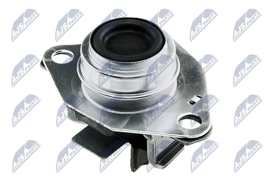 Mounting, engine (ZPS-RE-038)