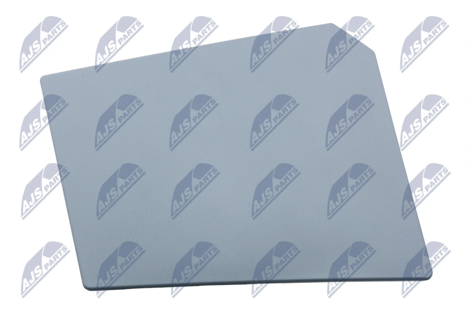 Hinge, fuel filler flap