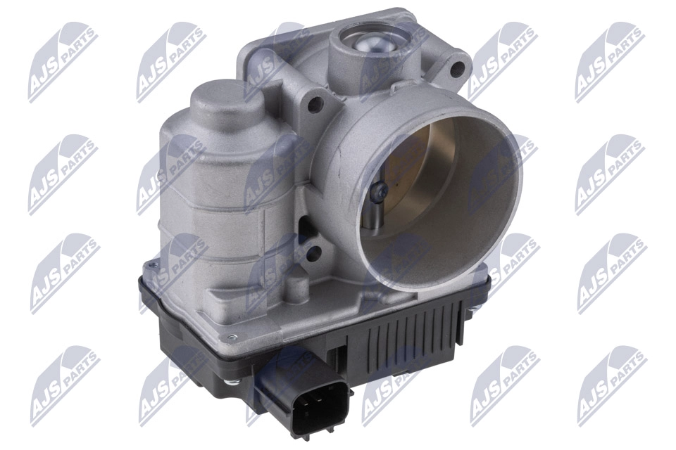 Throttle Body (ETB-NS-004)