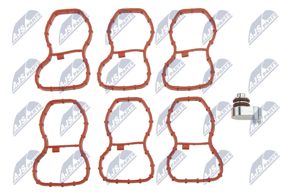 Repair Kit, intake manifold module (BKS-BM-023)