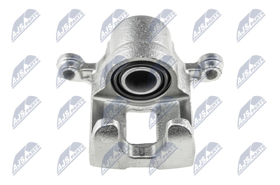 Brake Caliper (HZT-NS-040)