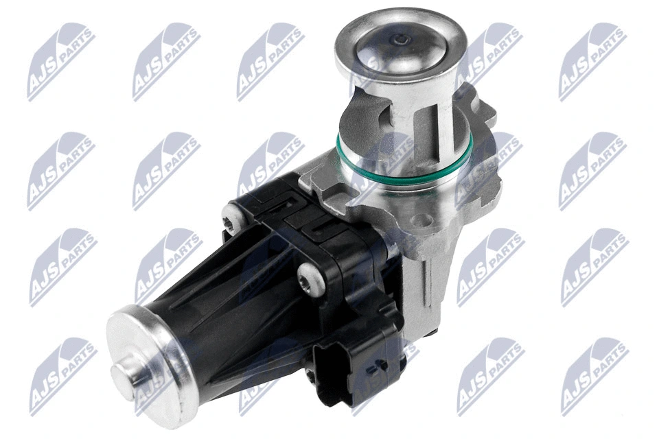 EGR Valve (EGR-FR-010)