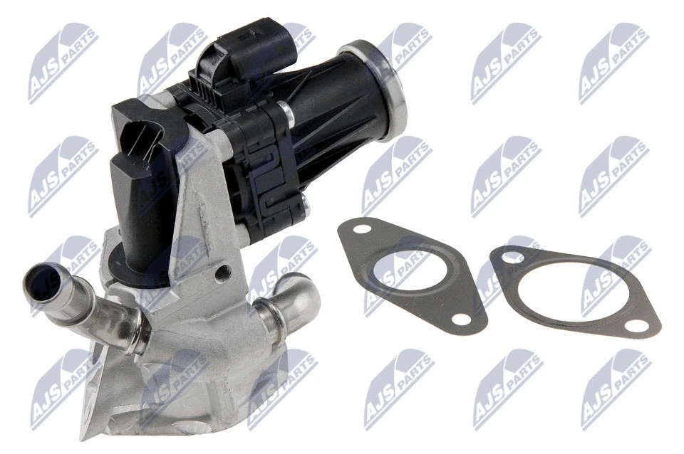 EGR Valve (EGR-FR-029)