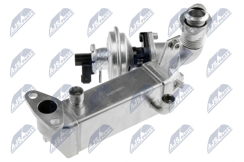 EGR Valve (EGR-BM-011A)