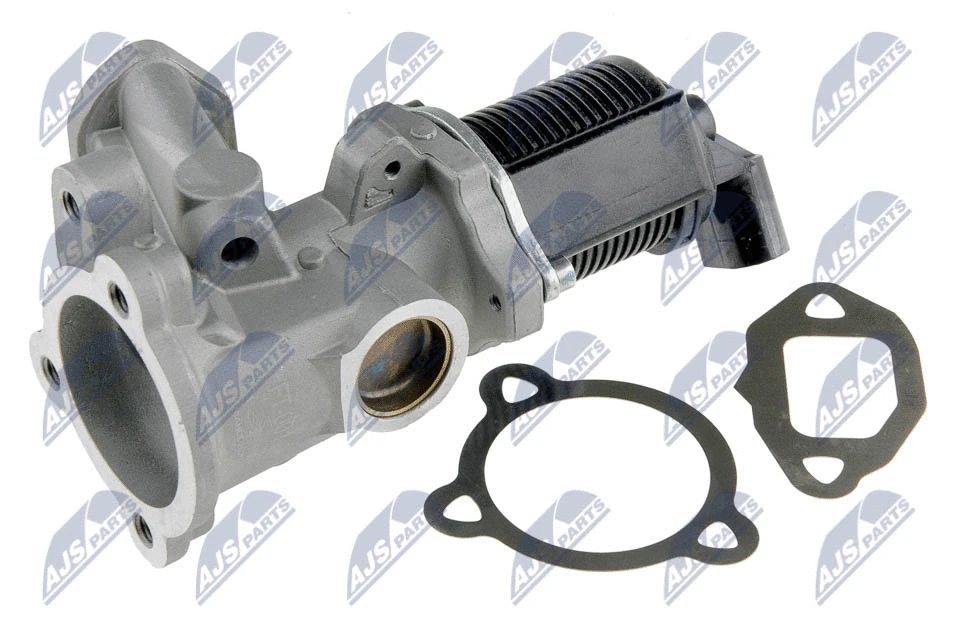 EGR Valve (EGR-FT-001)